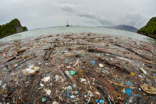 Is there really an island of plastic rubbish floating in the ocean ...